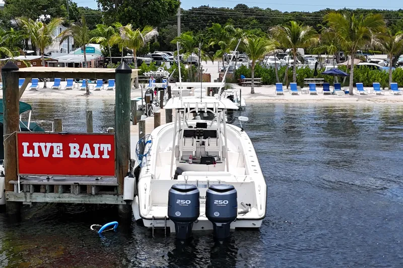 Slide: The Image of 2009 Pursuit C 310 Center Console boat docked near live bait shop. - 2