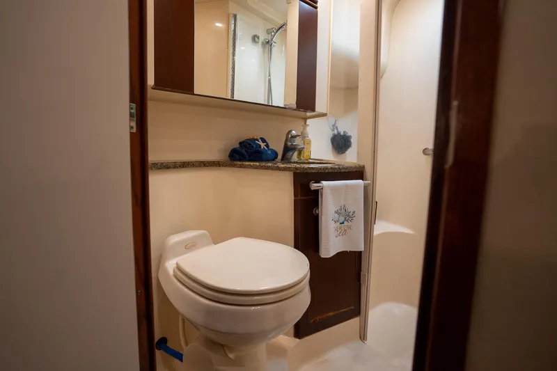 Slide: The Image of Bathroom interior of 2006 Sea Ray 455 Sedan Bridge yacht, featuring toilet and shower. - 22