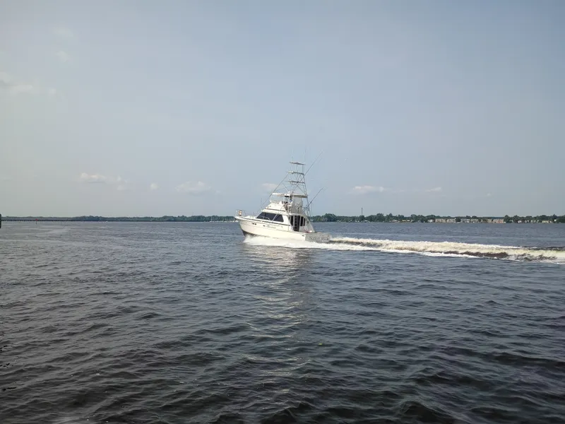 Slide: The Image of Bertram 42 Sport Fisherman 1978 - 4