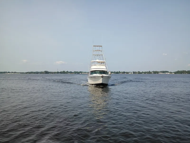 Slide: The Image of Bertram 42 Sport Fisherman 1978 - 5