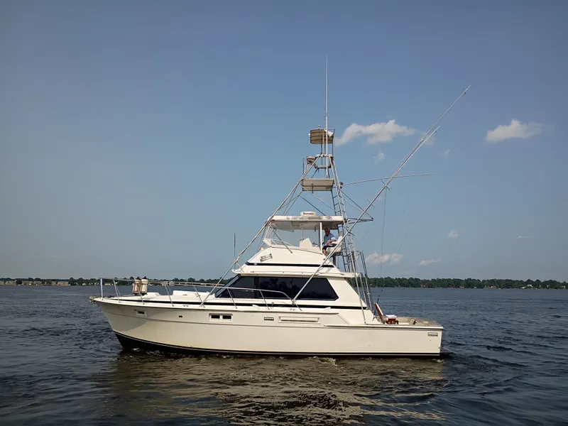 Slide: The Image of Bertram 42 Sport Fisherman 1978 - 1