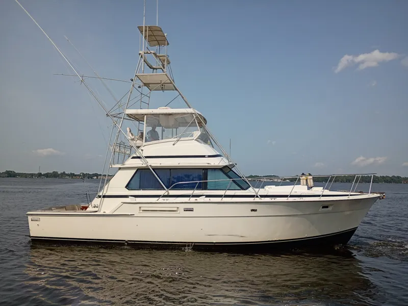 The Image of Bertram 42 Sport Fisherman 1978 - 0