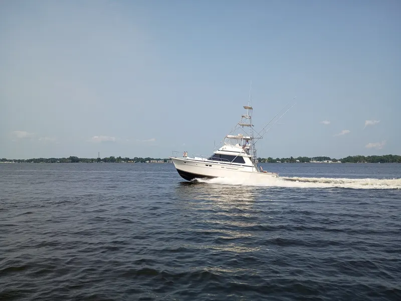 Slide: The Image of Bertram 42 Sport Fisherman 1978 - 3