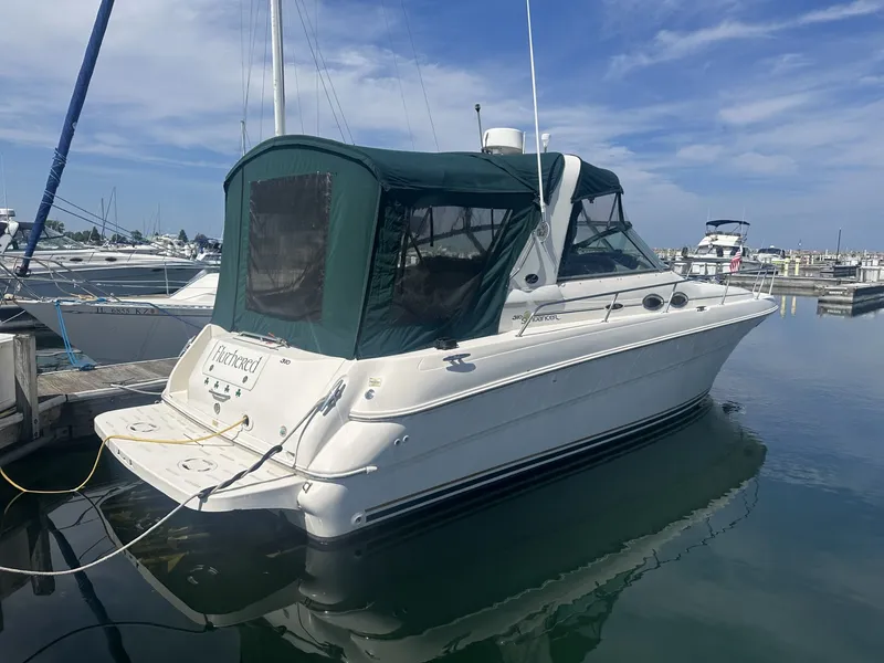 The Image of Sea Ray Sundancer 310 2002 - 0