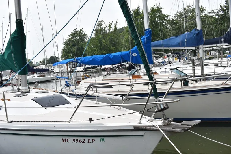 Slide: The Image of Catalina 36 MkII sailboats docked in a marina, 1984 model, with green and blue covers. - 3