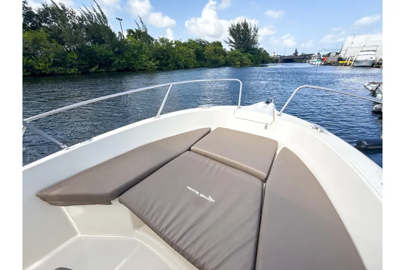 Slide: The Image of The boat features a spacious bow with cushioned sun pads, set on a calm river. - 2