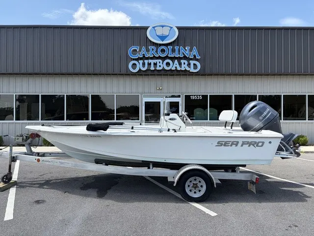 The Image of Sea Pro 172 2020 - 1