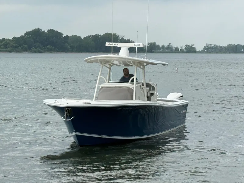 Slide: The Image of Regulator Marine 31 2019 - 1