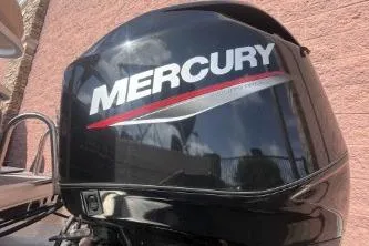 Slide: The Image of Mercury outboard motor on 2023 Sun Tracker Bass Buggy 18 DLX pontoon boat. - 7