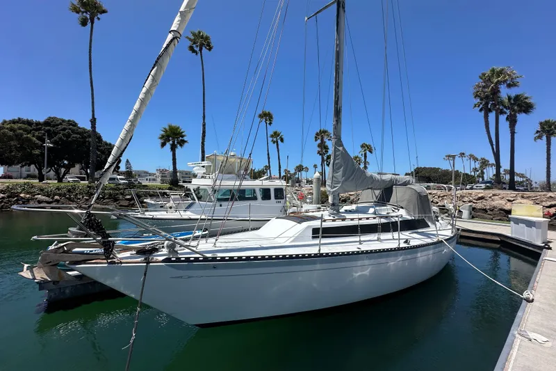 The Image of 1976 Islander 36 sailboat docked in a sunny marina with palm trees. - 0