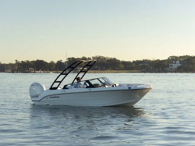 The Image of Stingray 20 SBX 2027 - 1