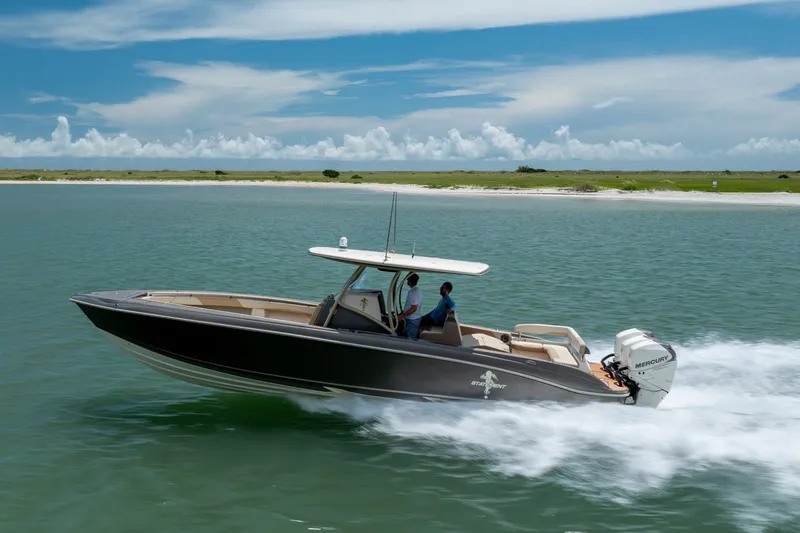 Slide: The Image of 2015 Statement 380 Open boat cruising on calm waters near a sandy shoreline. - 11