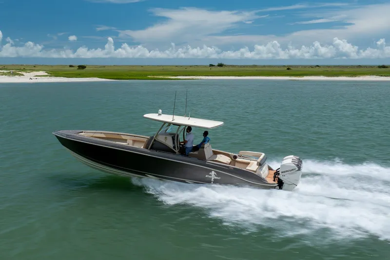 Slide: The Image of 2015 Statement 380 Open boat cruising on water near a scenic shoreline. - 16