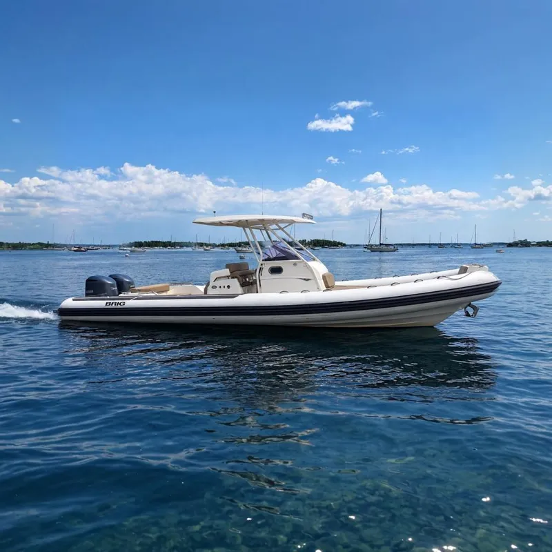 The Image of A 2021 Brig Eagle 10 cruising on calm waters under a blue sky. - 0