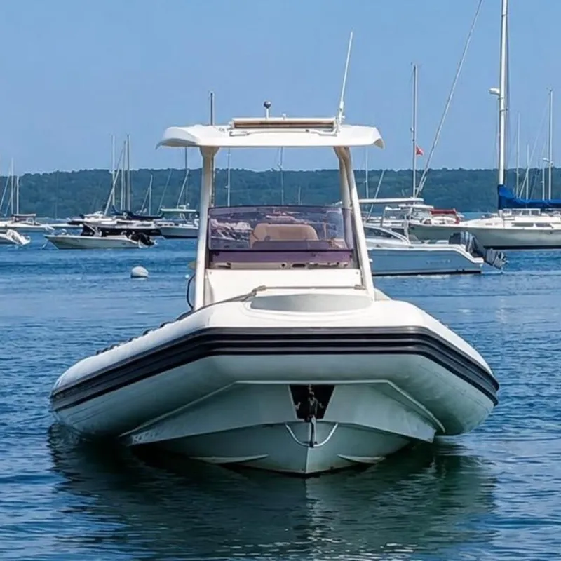 Slide: The Image of A 2021 Brig Eagle 10 is on the water, surrounded by other boats and a wooded shoreline. - 6