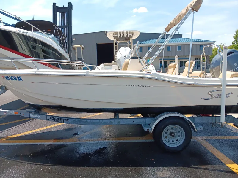 The Image of Scout 175 Sport Dorado 2020 - undefined