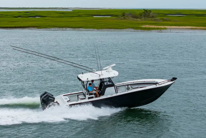 Slide: The Image of A black boat speeds across the water, with green shores in the background. - 47