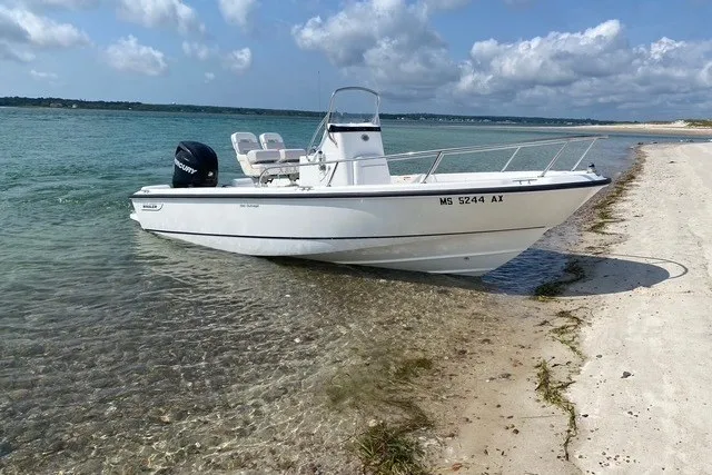 The Image of Boston Whaler 190 Outrage 2010 - undefined