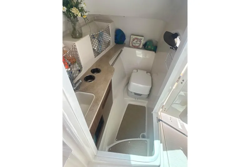 Slide: The Image of Interior of 2018 Sailfish 245 DC boat featuring compact bathroom with sink and toilet. - 17