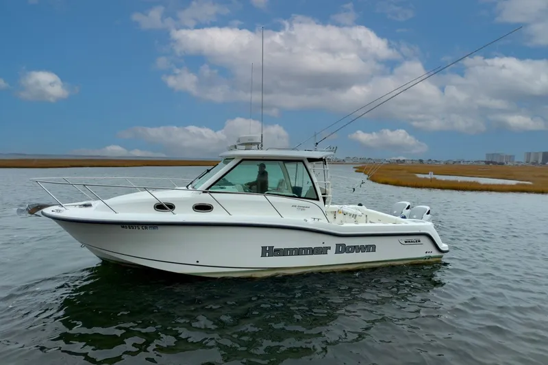 Slide: The Image of 2016 Boston Whaler 315 Conquest boat on water under cloudy sky. - 2