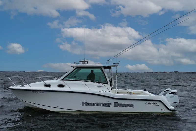 The Image of Boston Whaler 315 Conquest 2016 - undefined