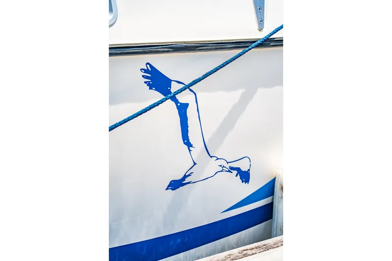 Slide: The Image of Blue bird graphic on St Francis SF 50 boat, 2010 model. - 24