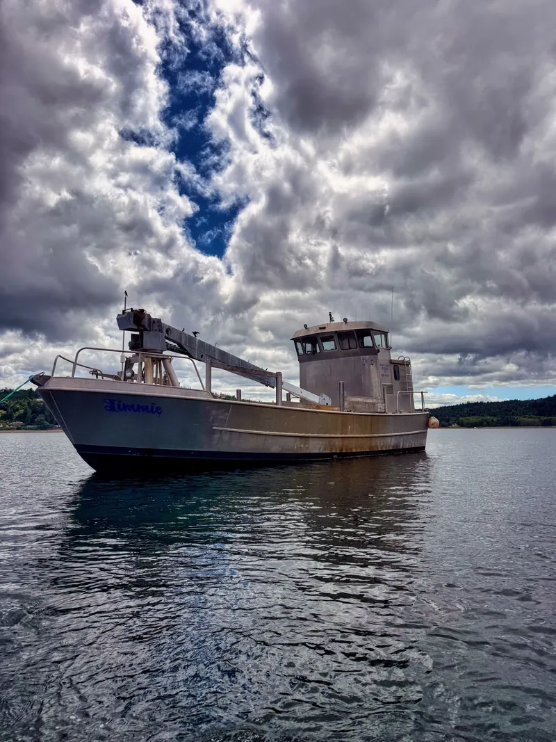 The Image of A sturdy aluminum boat with a crane, floating on calm water under a cloudy sky. - 0