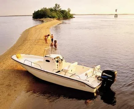 The Image of Boston Whaler 220 Dauntless 2001 - undefined