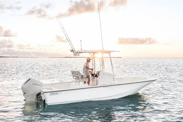 The Image of A 2026 Boston Whaler 210 Montauk on calm waters at sunset. - 1