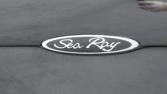 Slide: The Image of Close-up of the Sea Ray logo on a boat. - 9