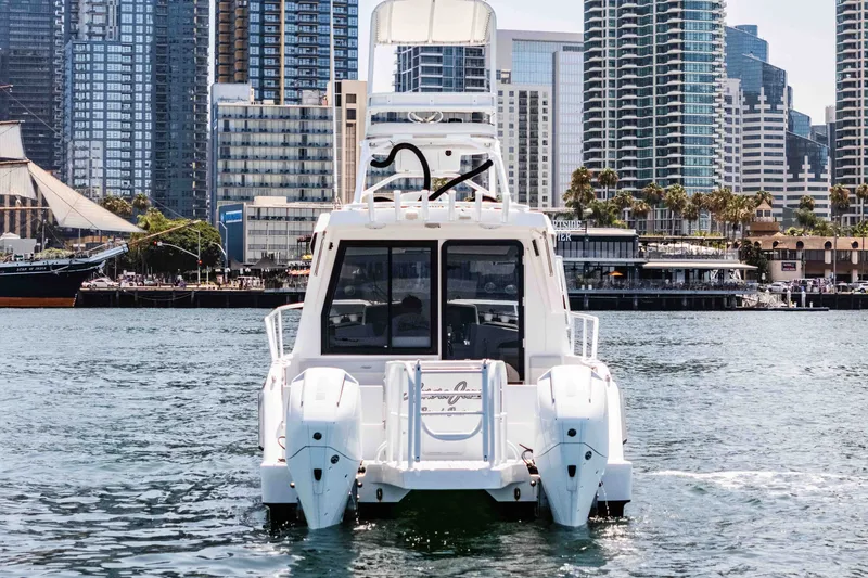 Slide: The Image of ArrowCat 320 boat on water with city skyline in background, 2021 model. - 7