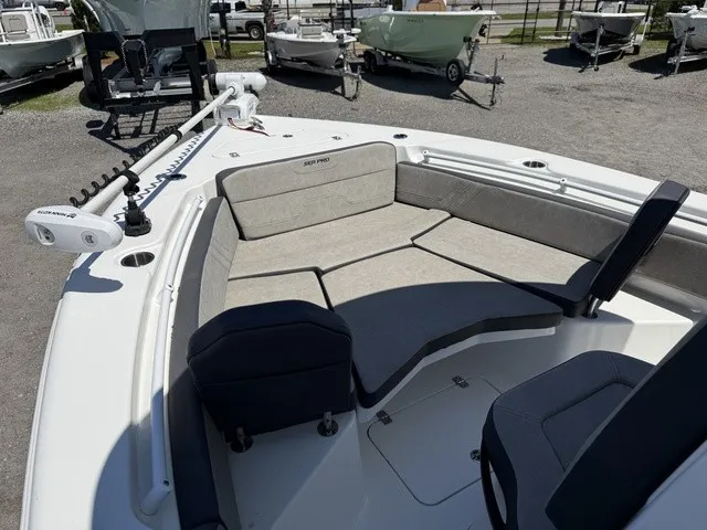 Slide: The Image of Sea Pro 245 FLX Center 2024 - 14