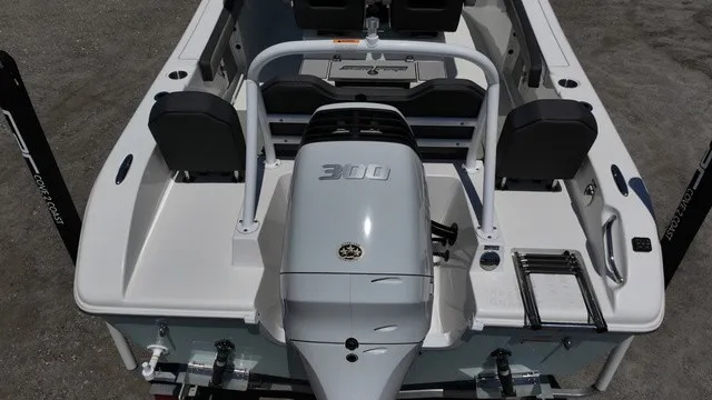Slide: The Image of Sea Pro 245 FLX Center 2024 - 8