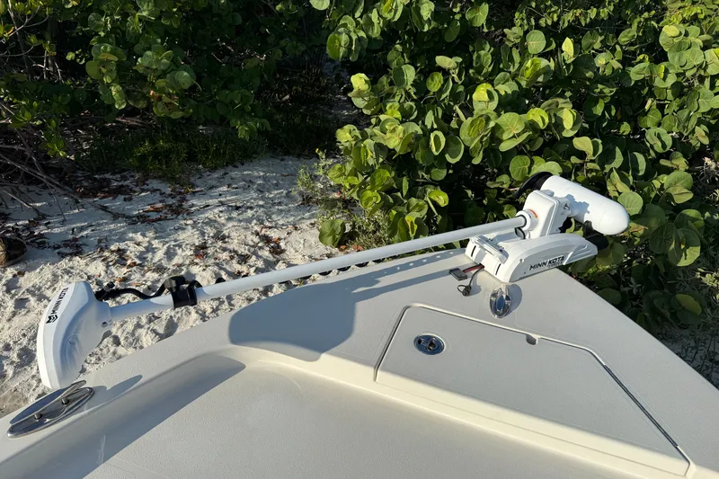 Slide: The Image of Boat with Minn Kota trolling motor on sandy beach, surrounded by lush greenery. - 24