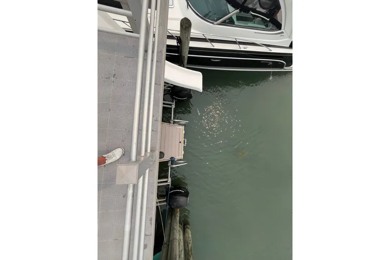 Slide: The Image of Overhead view of a 2009 Custom tritoon boat docked on calm water. - 29