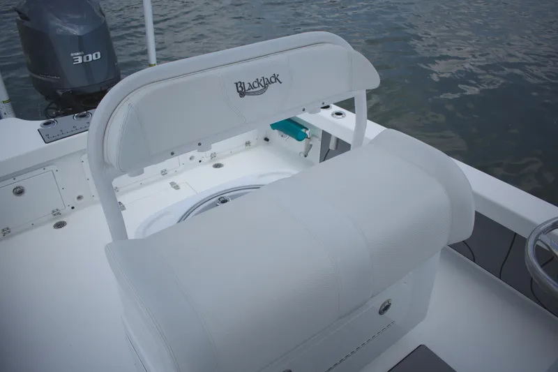 Slide: The Image of 2020 BlackJack 256 Coastal boat interior with Yamaha 300 engine on water. - 16