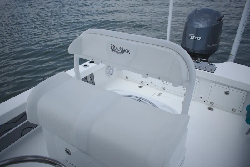 Slide: The Image of 2020 BlackJack 256 Coastal boat interior with Yamaha 300 engine on water. - 15