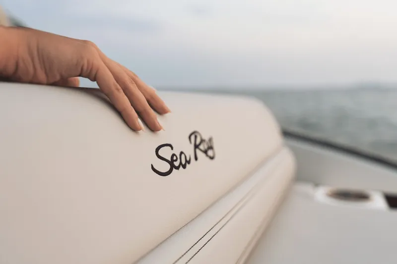 Slide: The Image of A hand rests on a white cushion with the Sea Ray logo, with the sea in the background. - 27