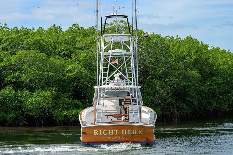 Slide: The Image of 2014 Release Boatworks 46 yacht cruising near lush green mangroves. - 2