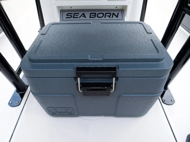 Slide: The Image of Sea Born FX24 Bay 2027 - 27