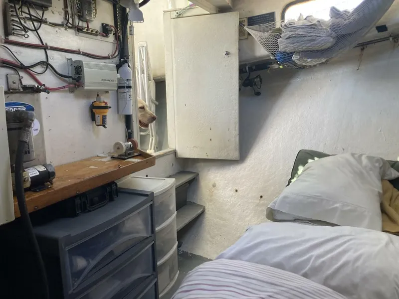 Slide: The Image of A cozy interior with a bed, storage, and stairs. A dog is curiously peeking in. - 17