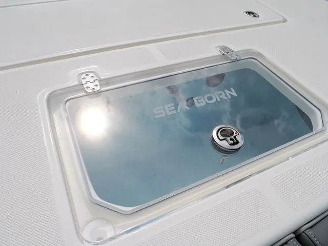Slide: The Image of Sea Born FX25 Bay 2027 - 24