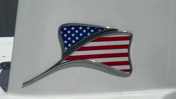 Slide: The Image of A stylized emblem featuring the American flag on a white background. - 4