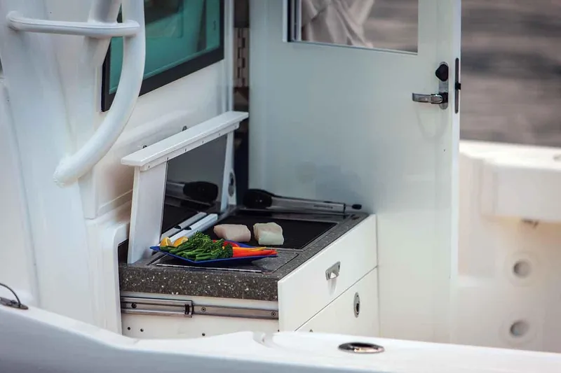 Slide: The Image of Manufacturer Provided Image: Outdoor kitchen area on 2019 Boston Whaler 315 Conquest Pilothouse boat. - 7