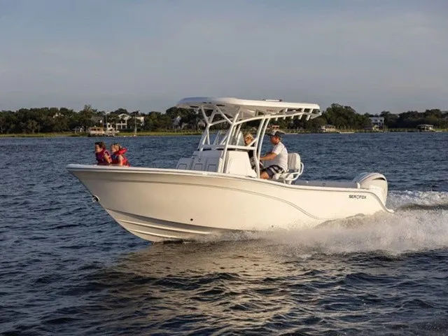 The Image of Sea Fox 248 Commander 2024 - 1