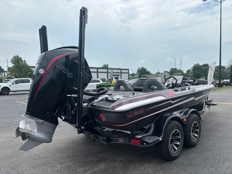 Slide: The Image of Bass Cat Cougar FTD 2021 - 6