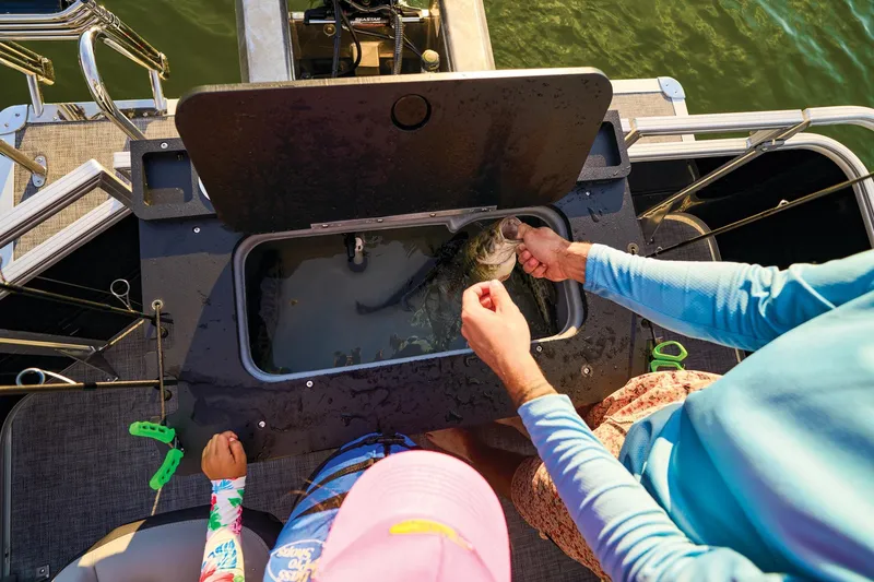 Slide: The Image of Sun Tracker Sportfish 24 XP3 2026 - 25