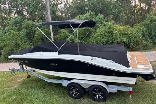 The Image of 2023 Sea Ray SPX 210 boat on trailer, black cover, parked on grass. - 0