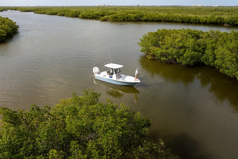 Slide: The Image of A 2027 Sea Hunt BX25FS boat navigating through lush mangroves in calm waters. - 3