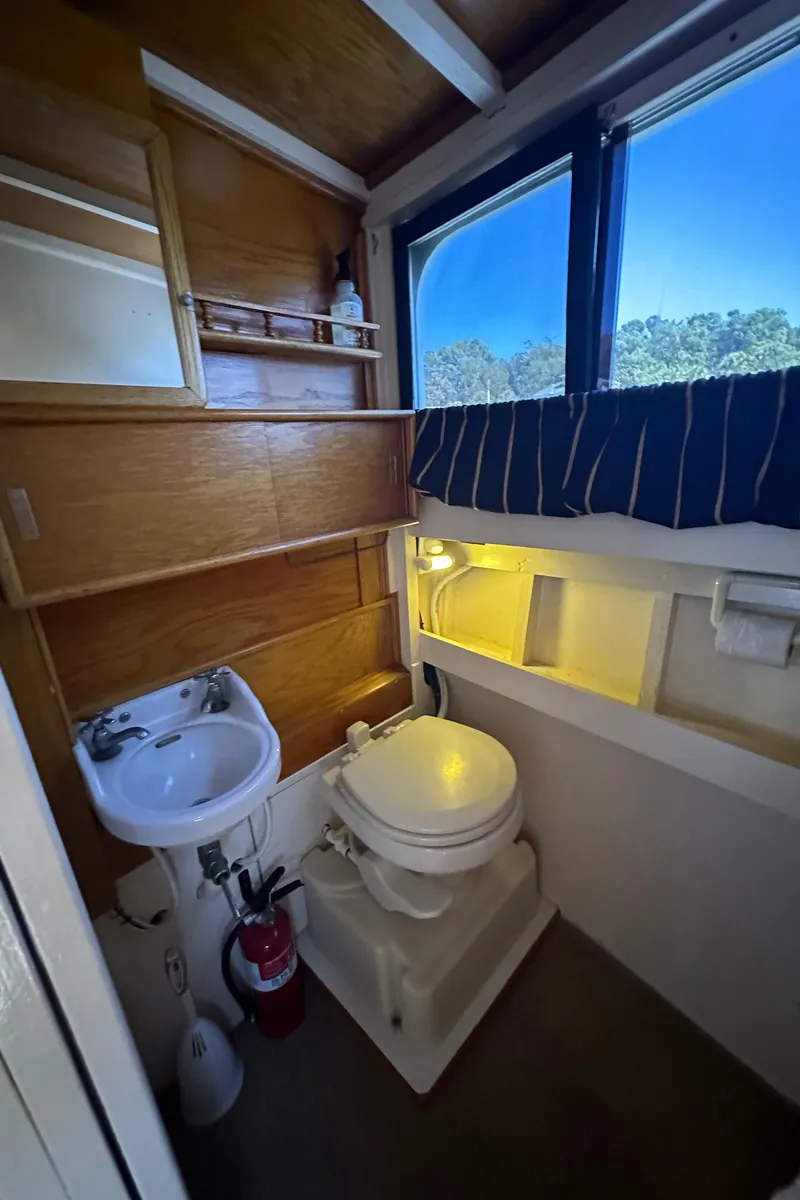 Slide: The Image of Head Compartment - 15